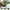 BAYCLARA Urban Nest Modular Sofa - Green