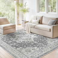 BAYCLARA AREA RUG