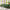 BAYCLARA Minimal Sectional Couch - Green