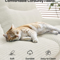 BAYCLARA Sofa Bed for Small Spaces