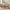 BAYCLARA Oak Lift Top Coffee Table